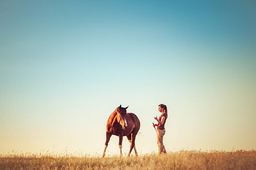 A young woman training her horse in a Montana pasture.