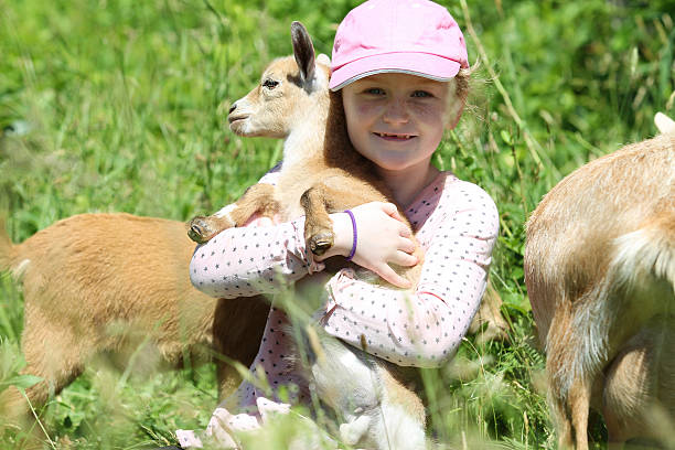 istock Girl and Baby Goat 511858538