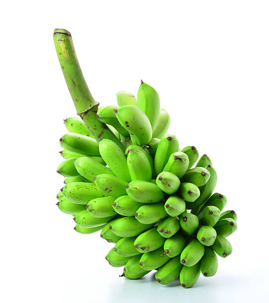 istock Bunch of bananas isolated on white background 511859558