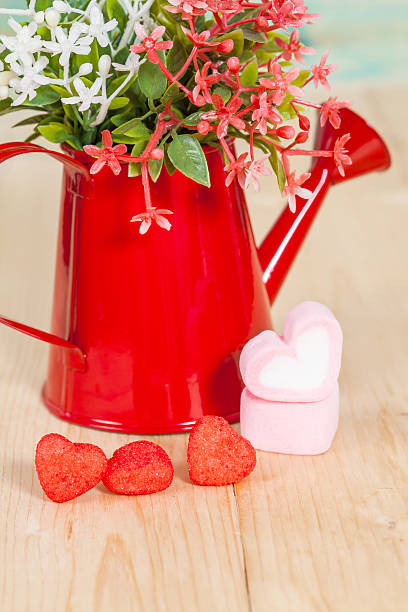 istock Heart shape with red watering can.Still life of love 511860176