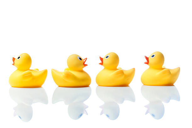 istock Swimming against the stream, rubber ducks on white 511860488