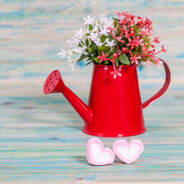 istock Heart shape with red watering can.Still life of love 511861244
