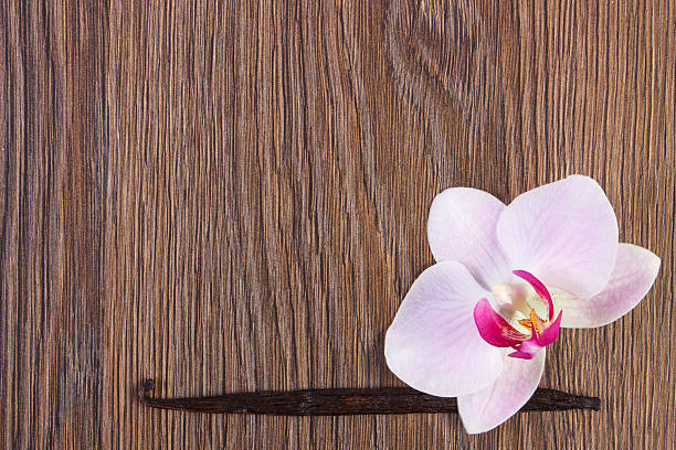 istock Blooming orchid and fragrant vanilla sticks, copy space for text 511861258
