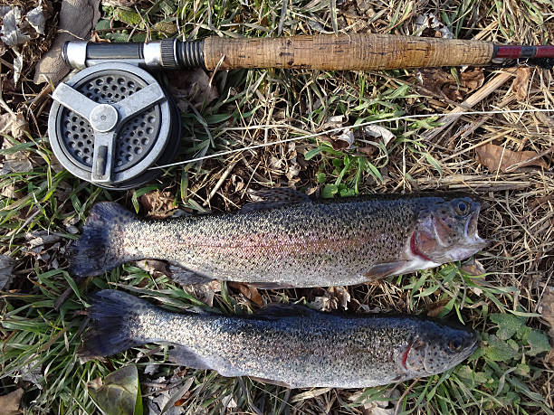 istock Preseason Trout Fishing 511861396