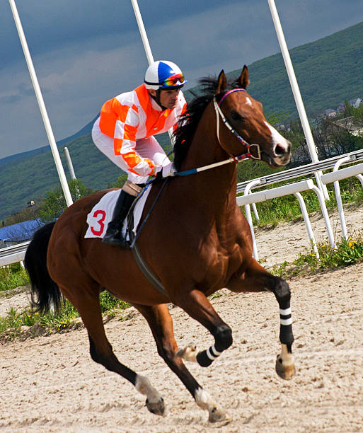 Horse Racing Horse Racing of the prize Derby in Pyatigorsk. horse racing online bookies site stock pictures, royalty-free photos & images