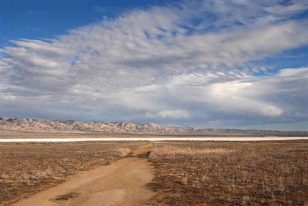 Soda Lake Playa and Temblor Range Mountains Soda Lake Playa (dry lake) and the Temblor Range Mountains at Carrizo Plains National Monument, California, USA carrizo plain stock pictures, royalty-free photos & images