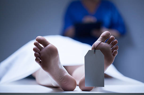 Identification of dead body Horizontal view of identification of dead body morgue stock pictures, royalty-free photos & images