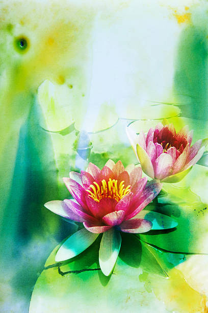 istock Flower watercolor illustration. 511866846
