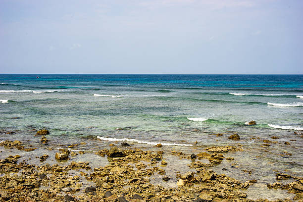 istock Landscape in Ly Son Island - VietNam 511867850