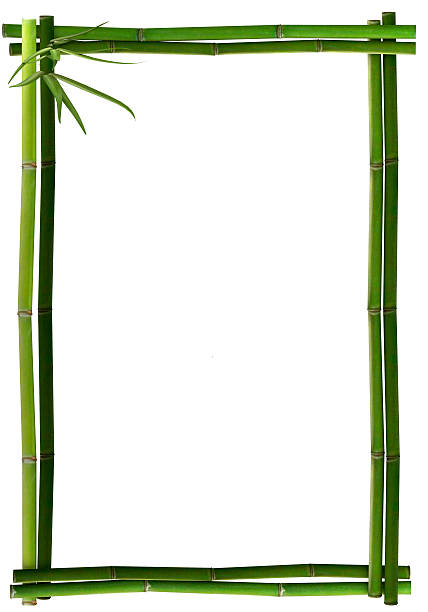 bambus-rahmen - caulis stock-fotos und bilder