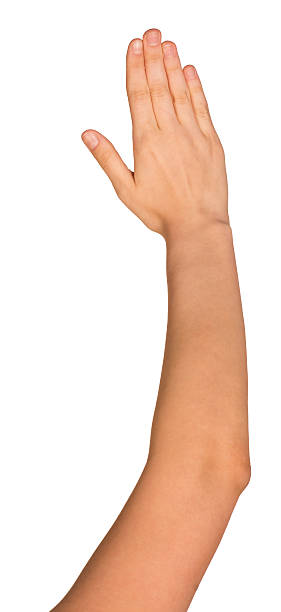 istock The open hand of a young woman 511869907