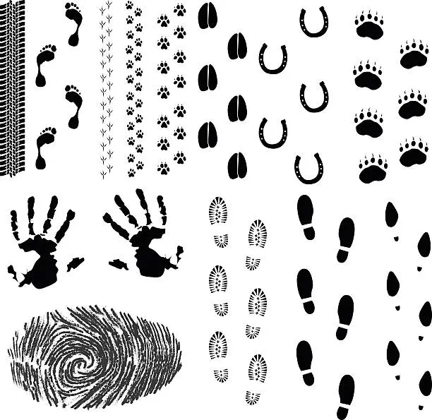 Vector illustration of Foot prints