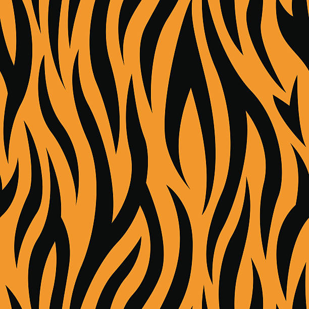 Tiger Stripes Seamless Pattern Tiger Stripes Seamless Vector Pattern tiger stripes stock illustrations