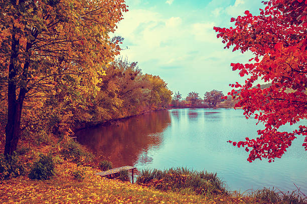 istock Autumn landscape with lake 511870818