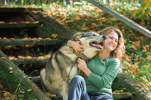 istock Woman  walking with a hunting dog. 511875074