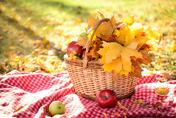 istock Basket with autumn leaves and fruits 511875088