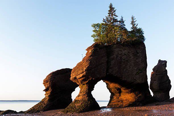 홉웰 록스 (캐나다 썬라이즈 - bay of fundy 뉴스 사진 이미지