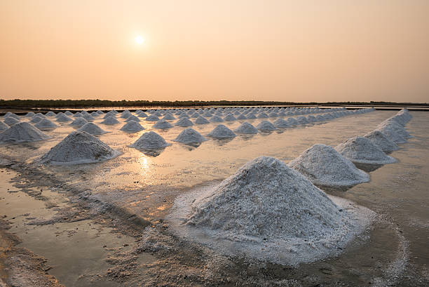 istock salt piles in saline at sunrise 511877484