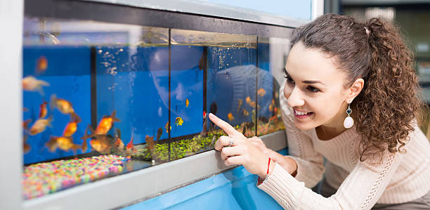 istock Female customer watching fish in aquarium tank 511878198