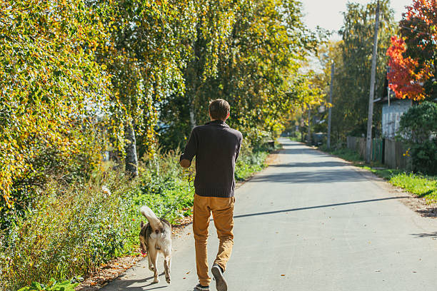 istock Man  walking with a hunting dog. 511879584