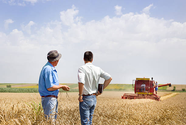 partnerów biznesowych na polu pszenicy - business agriculture equipment farm zdjęcia i obrazy z banku zdjęć