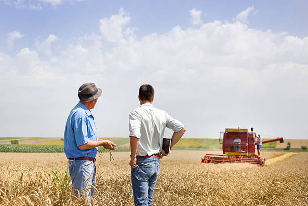 parceiros de negócios sobre campo de trigo - agriculture teamwork farmer people imagens e fotografias de stock
