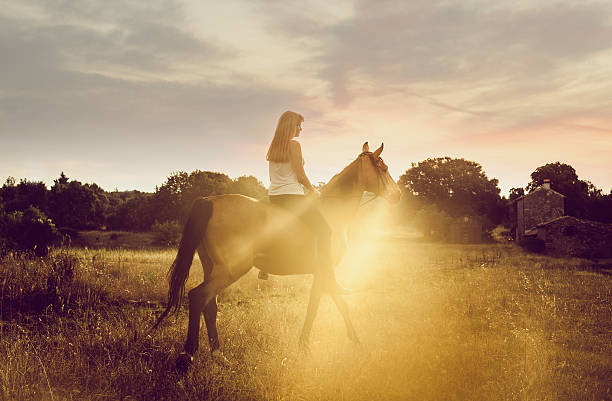 istock Young woman riding a horse in nature 511880056