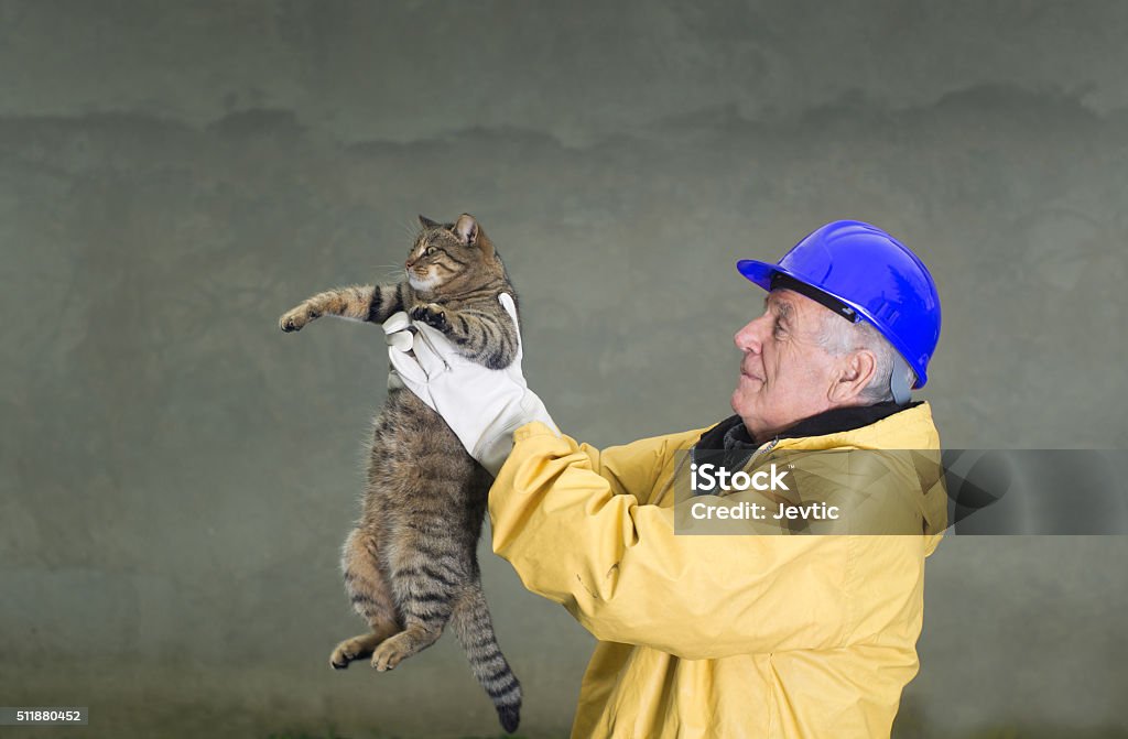 Old man rescuing cat Old man in safety suit holds cat with his arms Domestic Cat Stock Photo