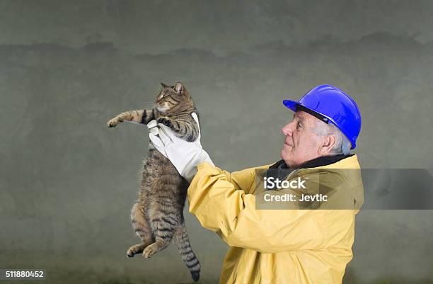 Old Man Rescuing Cat Stock Photo - Download Image Now - Domestic Cat, Firefighter, Holding