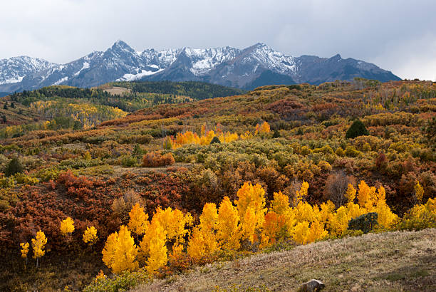 istock Last color of Fall in Colorado Mountains 511884077