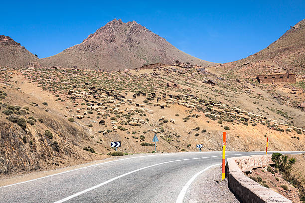 istock Atlas mountains highway, Morocco 511916910