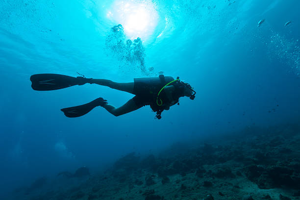istock Female scuba diver silhouette underwater 511919824