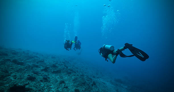 istock Group of scuba divers underwater 511920228