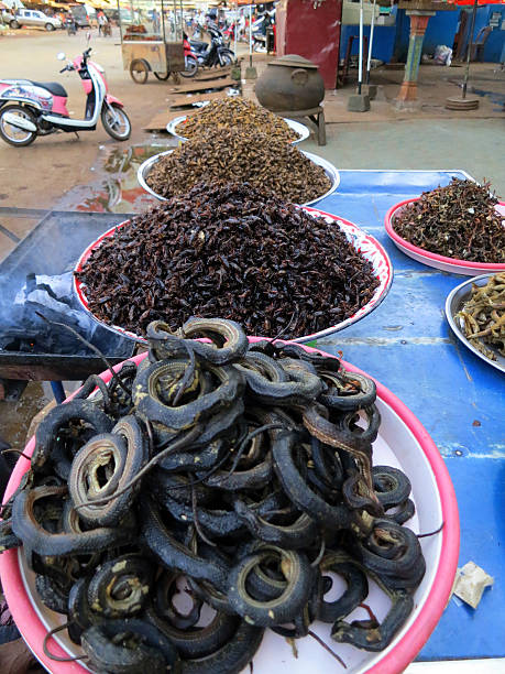 istock Fried insects and snakes for sale, Cambodia 511920654