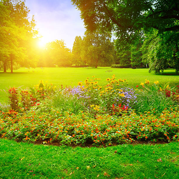 istock summer park with beautiful flowerbeds 511920874