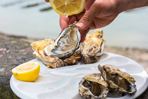 istock Male hand holding oysters 511921790