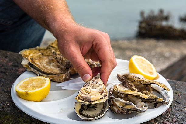 istock Male hand holding oysters 511922184