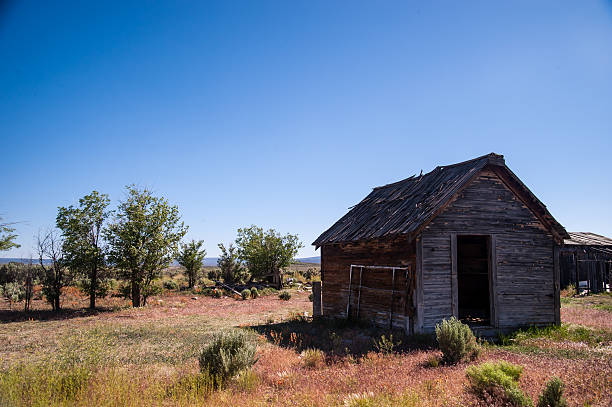 istock Deserts barned behind the doors 511922292