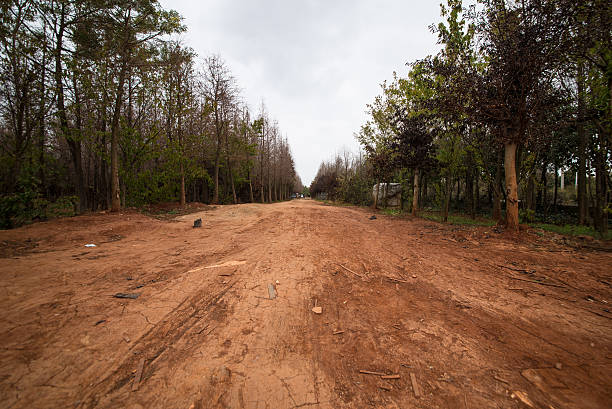 Mountain Mountain edisto island south carolina stock pictures, royalty-free photos & images