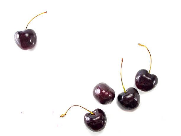 - kirsche - black cherries stock-fotos und bilder