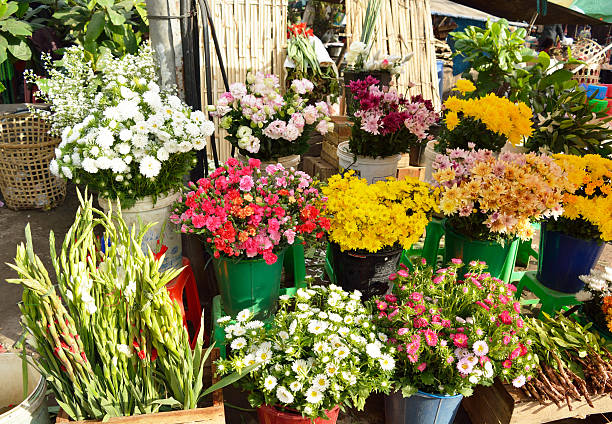 istock Colorful fresh flowers 511923872