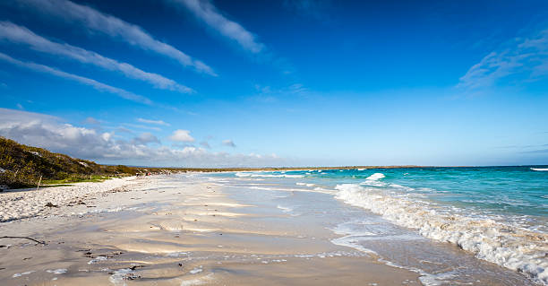 istock Beach in Santa Cruz Galapagos 511924948