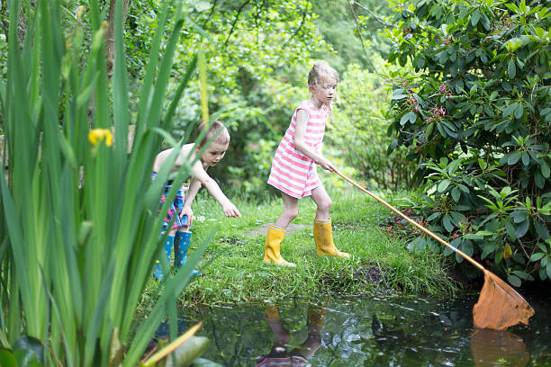 istock Fishing for pond life 511930450