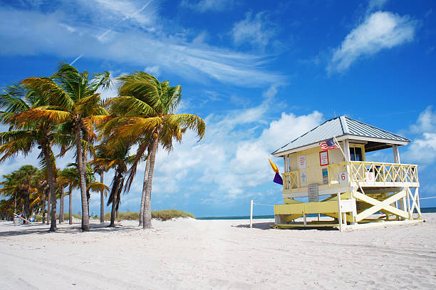 crandon park strand von schlüssel biscayne, miami - miami beach travel tourist resort vacations stock-fotos und bilder