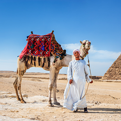 Bedouin standing with his camel, pyramids on the background, Giza, Egypt.http://bem.2be.pl/IS/egypt_380.jpg
