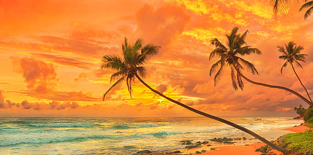 istock Sunset over the sea. Panorama 511937234