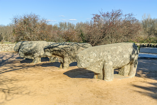 Celtiberian monument known as the bulls of Guisando, in Avila, Spain