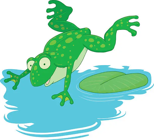 Vector illustration of frog jumps into the water