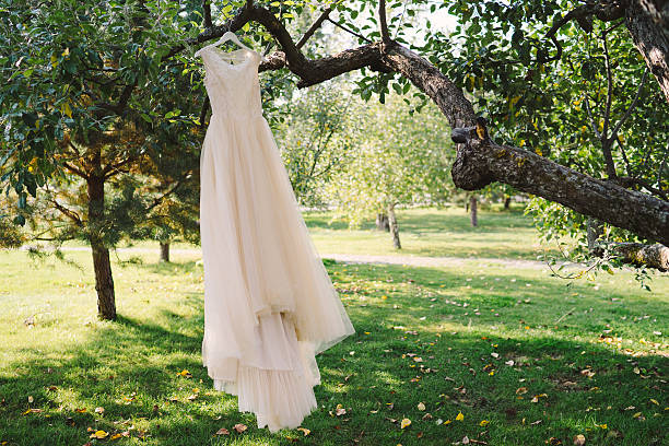 lace wedding dress hang on a tree branch