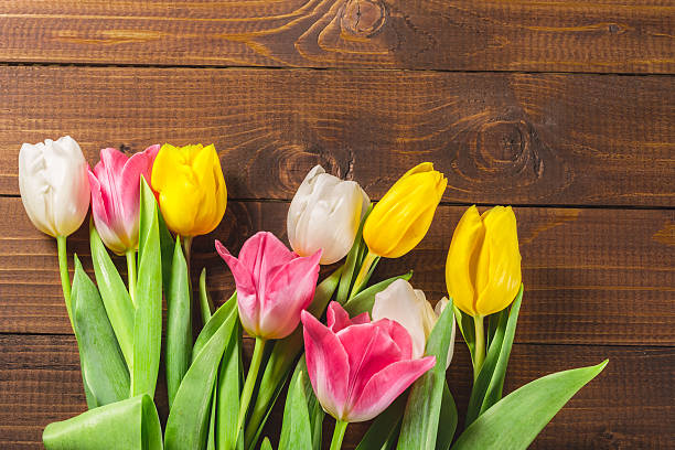 istock Bouquet Of Tulips 511946914